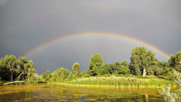 Радуга над рекой