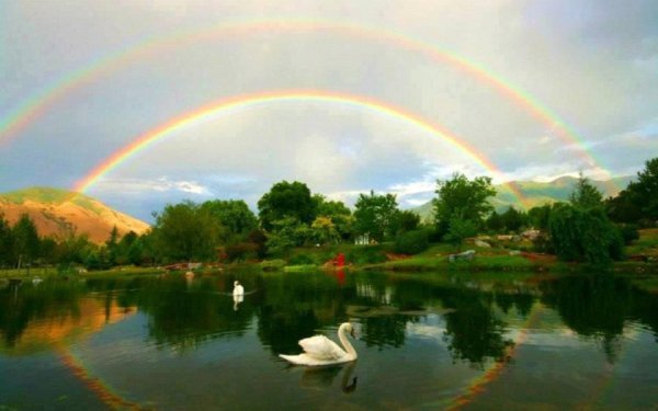 Белорусия Лесные озёра Радуга