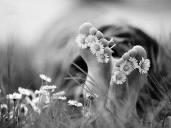 Встречаем лето