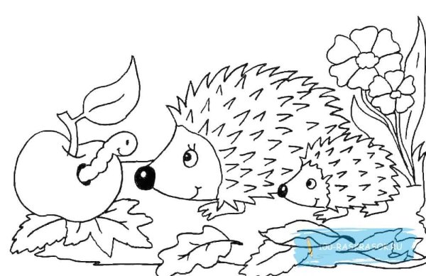 Ёжик раскраска для детей