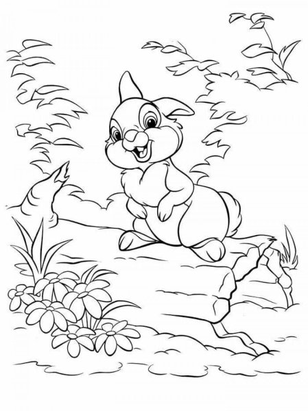 Раскраски природа и животные