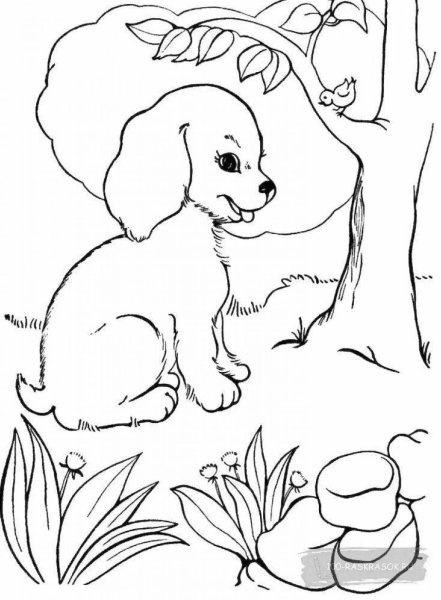 Щенок. Раскраска