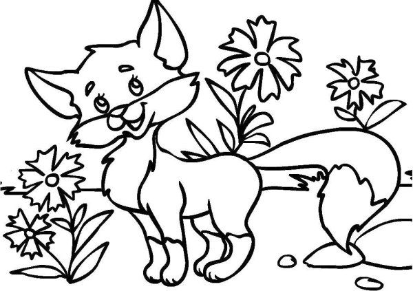 Раскраска Лисичка