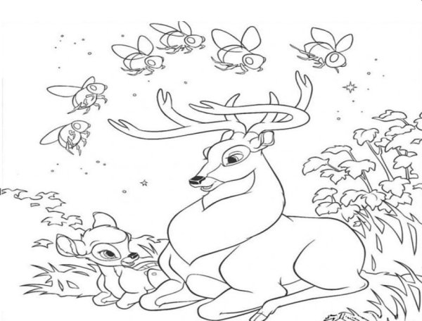 Раскраски природы и животных