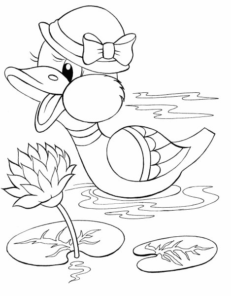 Утка раскраска для детей