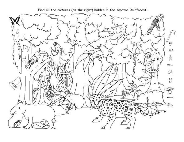 Животные джунглей раскраска с заданиями