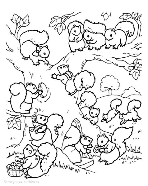 Раскраска Лесные обитатели