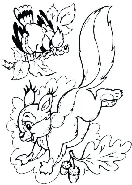 Бельчонок раскраска