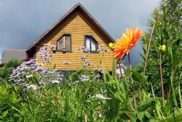 Майские на даче