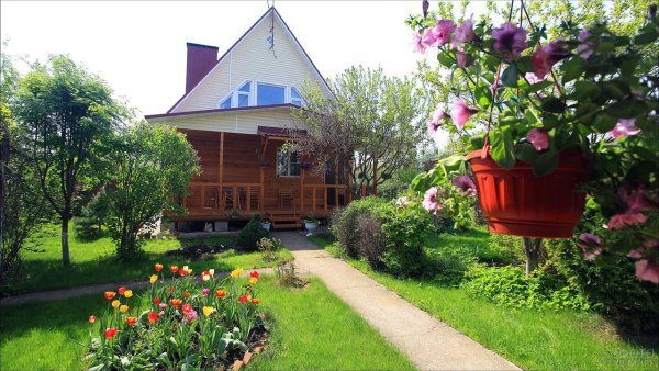 Моя дача летом