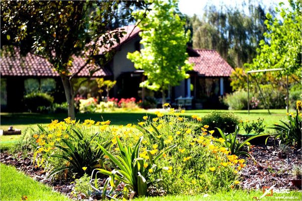 Сад и огород