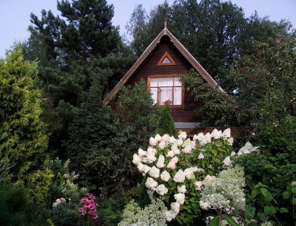 Деревенский сад