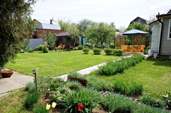 Лето в деревне