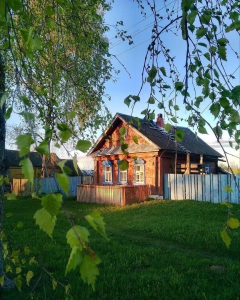 Палисадник Энфилд