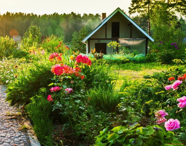 Рассвет на даче