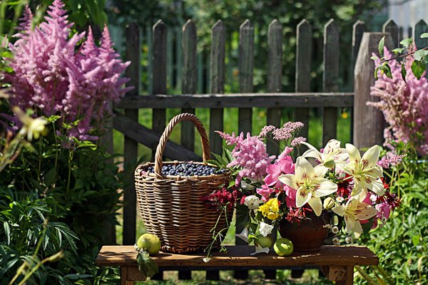 Лето дача красота