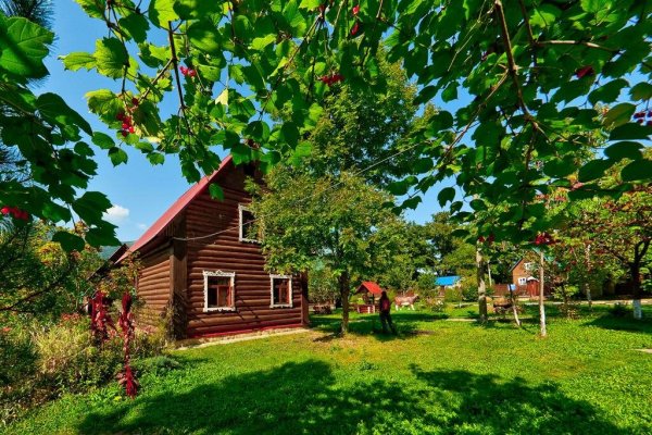 Палисад мальвы деревня