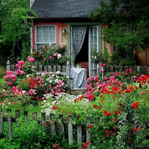 Ухоженный дачный участок