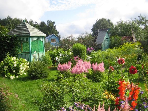 Лужайка для отдыха на даче