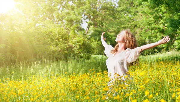 Летняя пора