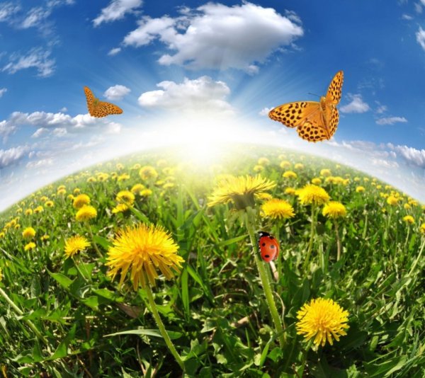 Солнечный пейзаж