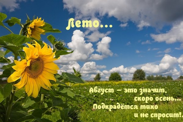 Воспоминания о лете надпись