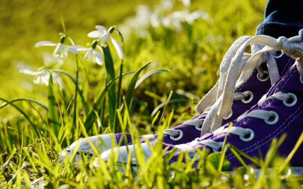 Ноги в кроссовках на траве