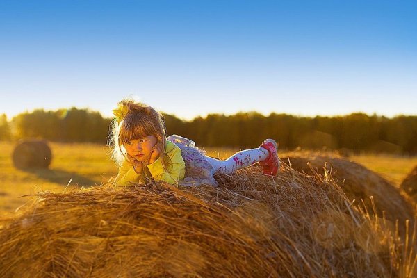 Яркое лето в деревне