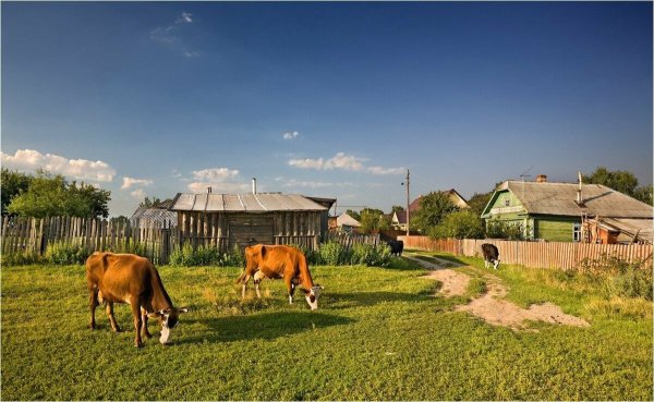 Бурхово деревня ферма