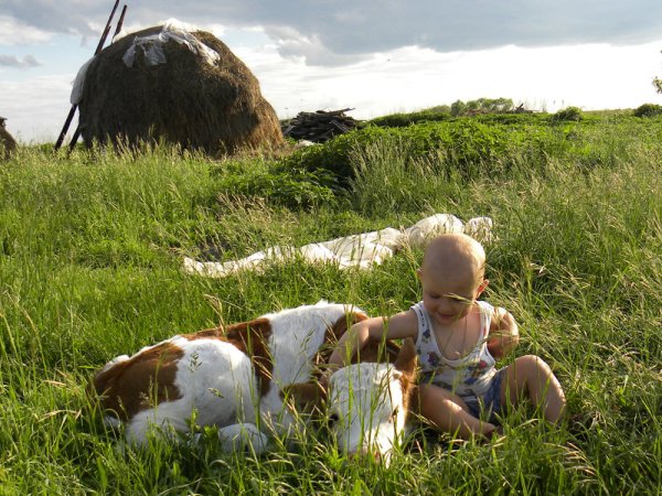 Юрий Непольский к бабушке в деревню