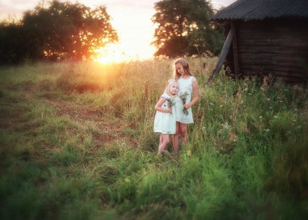 Солнечное лето в деревне