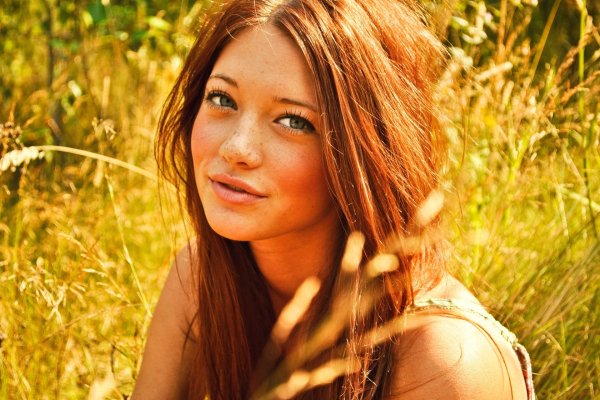 Ромашково Васильковое поле фото