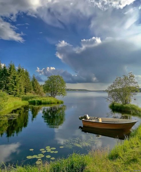 Красивые пейзажи с ромашками