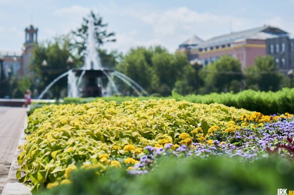 Лавочки сквер Кирова Иркутск