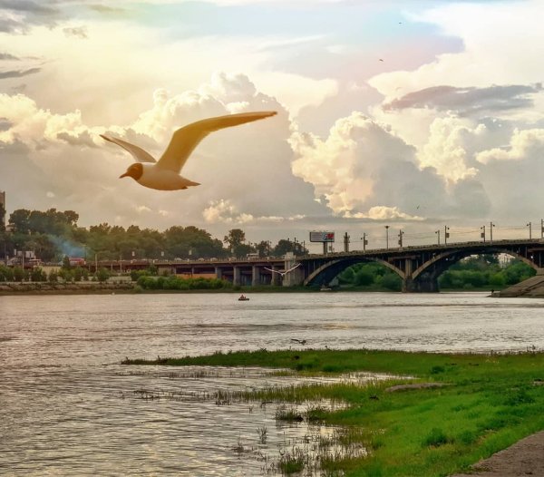 Город Иркутск набережная