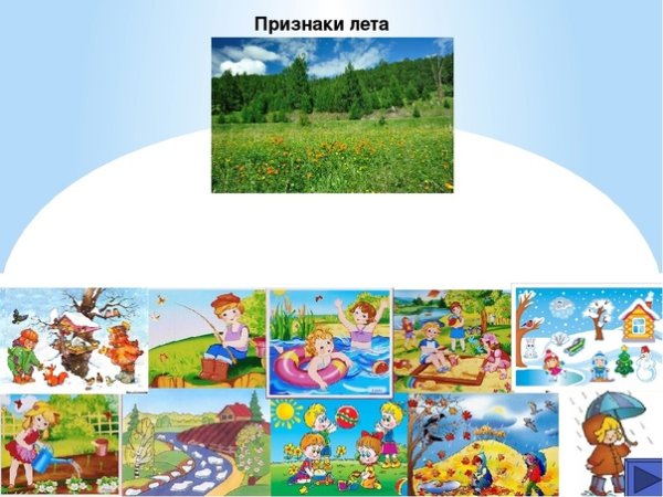 Лето признаки лета