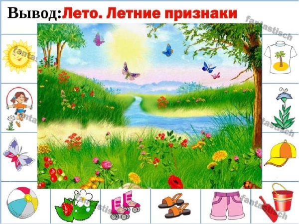 Лето признаки лета