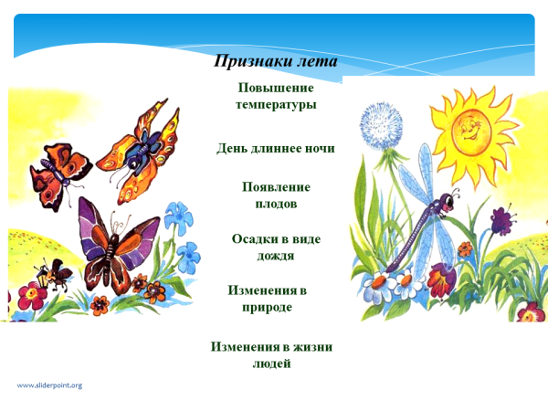 Признаки лета для детей