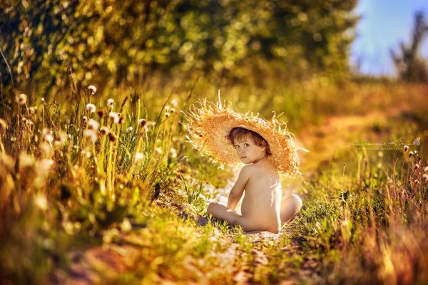 Лето уходит картинки