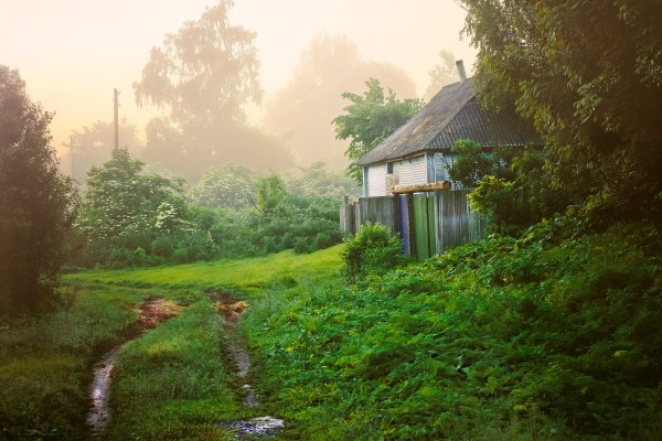 Солнечное утро в деревне