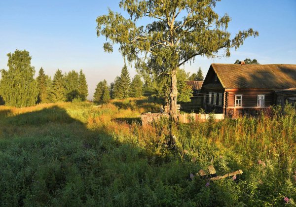 Летнее утро в деревне