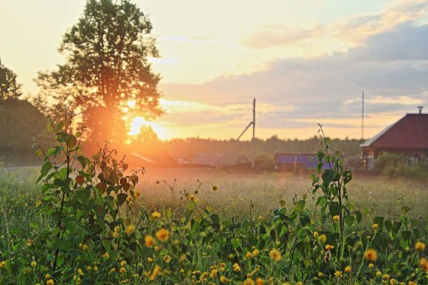 Летнее утро в городе