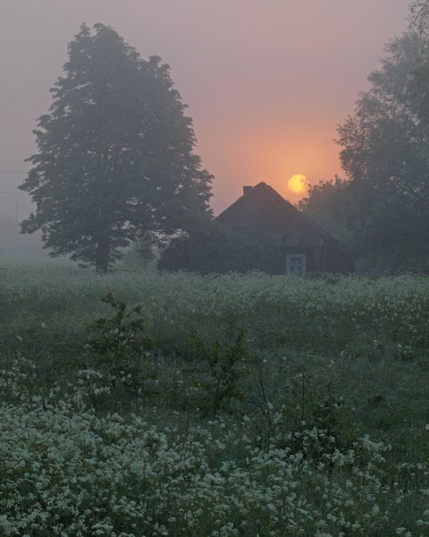 Лето вечер деревня Моша