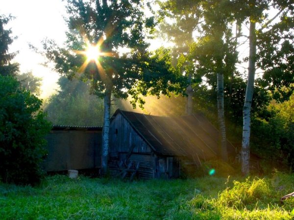 Рассвет в деревне