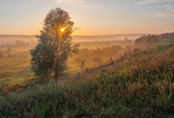 Деревня утро лето