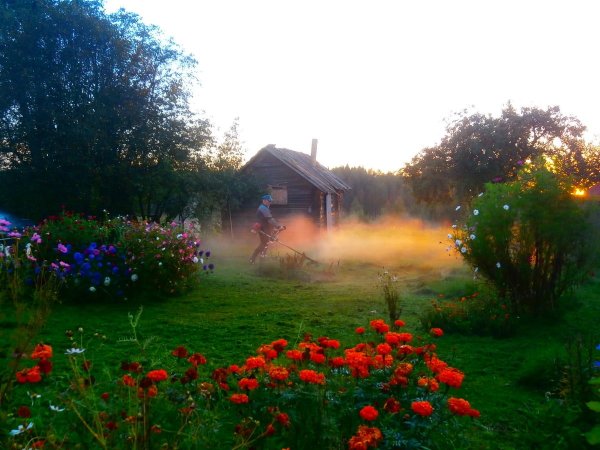 Утро в деревне