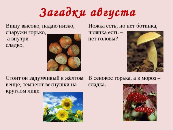 Народные приметы о временах года