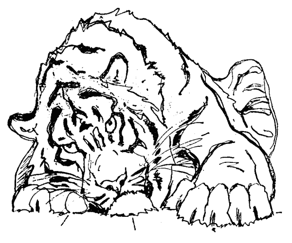 Эскизы для выжигания по дереву