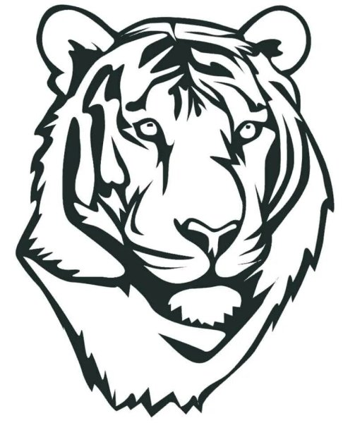 Тигр. Раскраска