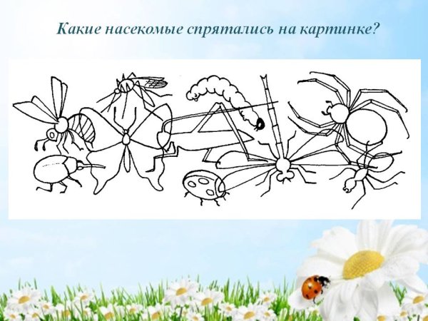 Лексическая тема насекомые